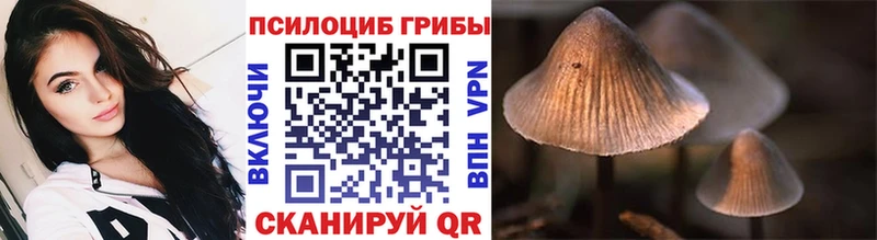 Псилоцибиновые грибы GOLDEN TEACHER  дарнет шоп  Усолье-Сибирское 